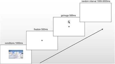 Executive control of freestyle skiing aerials athletes in different training conditions